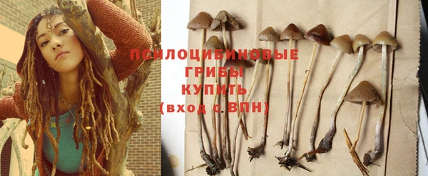 твердый Абинск