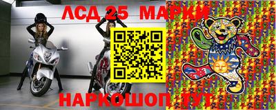амф Кингисепп