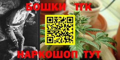 амф Кингисепп