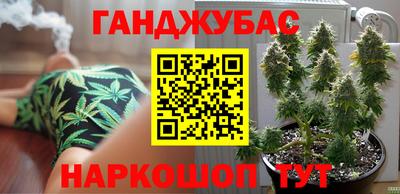 индика Кимры
