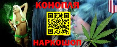 амф Кингисепп