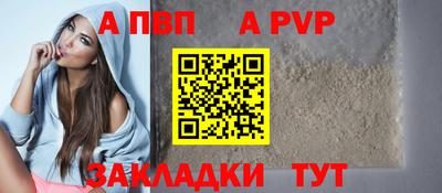 амф Кингисепп