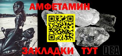 амф Кингисепп
