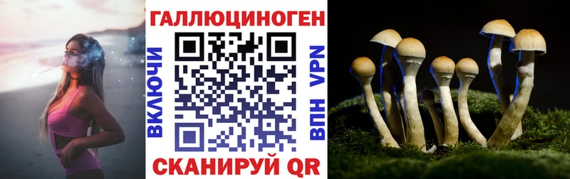 Псилоцибиновые грибы GOLDEN TEACHER  Кызыл 