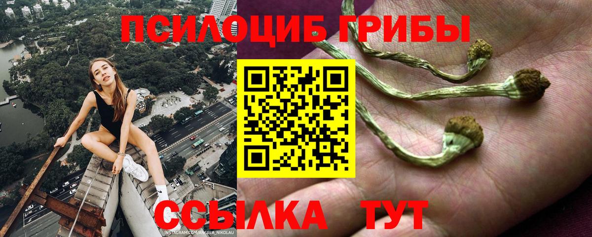 Псилоцибиновые грибы Magic Shrooms Кызыл
